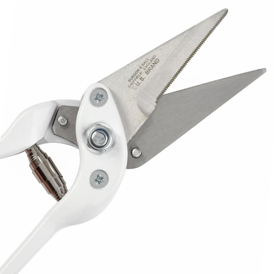 Agriculture Burgon & Ball Footrot & Dressing Shears | Professional Serrated Footrot Shear-Replacement Blades