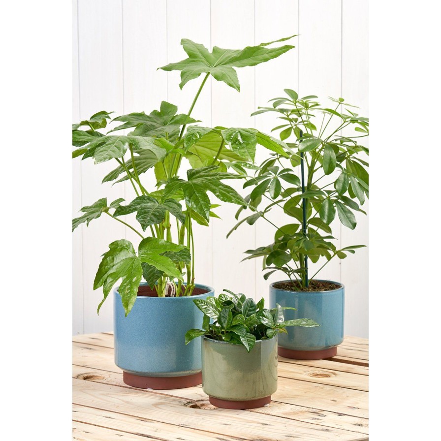 Accessories Burgon & Ball Indoor Plant Pots & Vases | Malibu Blue Glazed Pot-Large