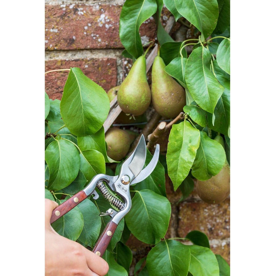 Tools Burgon & Ball Secateurs | Secateur-National Trust