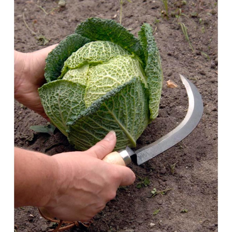 Tools Burgon & Ball Knives | Vegetable Harvesting Knife