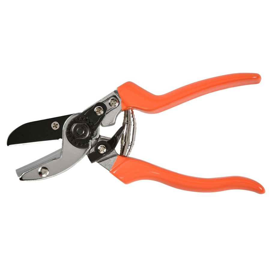 Tools Burgon & Ball Secateurs | Anvil Secateur-Rhs Endorsed