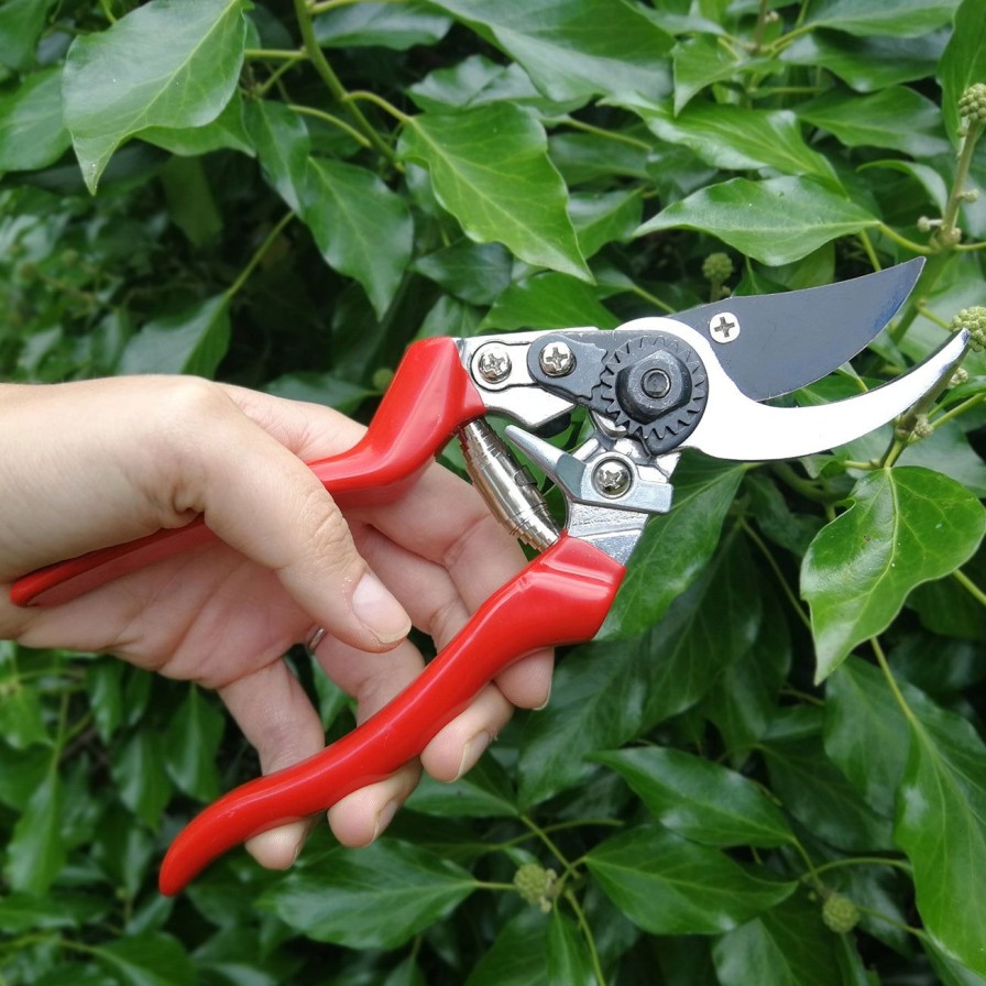 Tools Burgon & Ball Secateurs | Left-Handed Bypass Secateurs-Rhs Endorsed