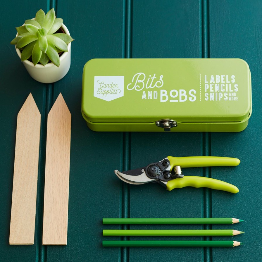 Accessories Burgon & Ball Home Storage | Bits And Bobs Storage Tin-Gooseberry