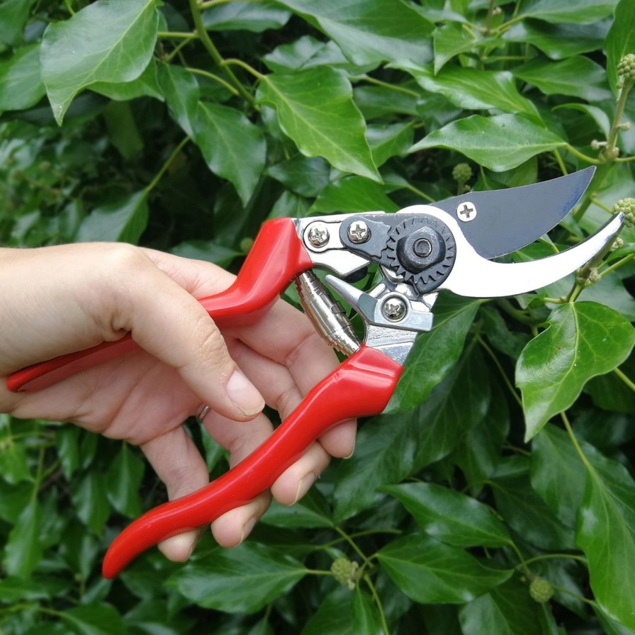 Agriculture Burgon & Ball Horticultural Pruning Tools | Left-Handed Bypass Secateurs-Rhs Endorsed