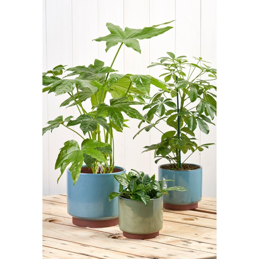 Accessories Burgon & Ball Indoor Plant Pots & Vases | Malibu Glazed Pot-Green