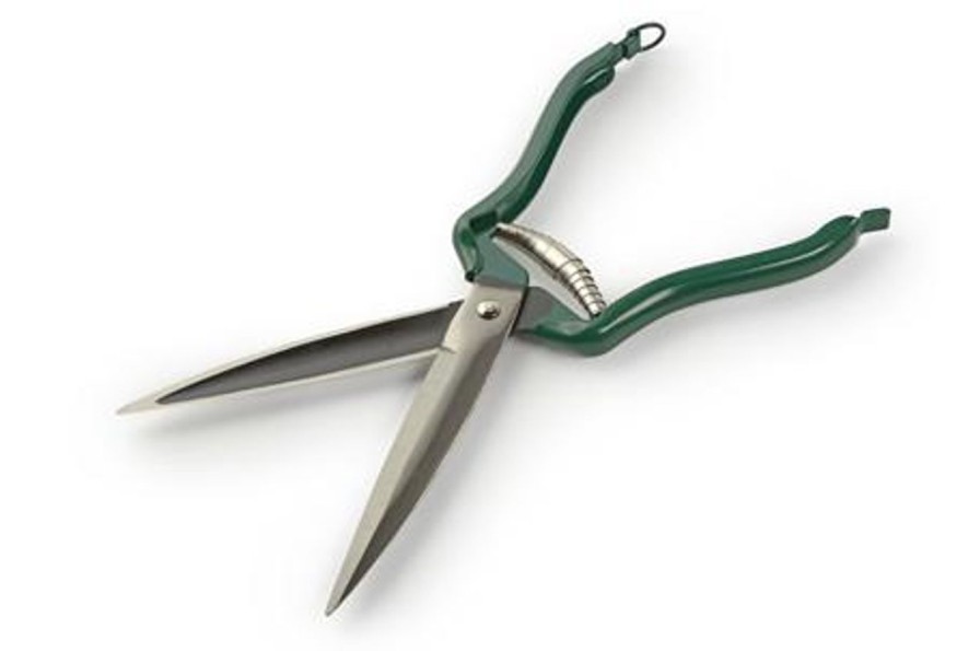 Agriculture Burgon & Ball Footrot & Dressing Shears | Dressing Shear