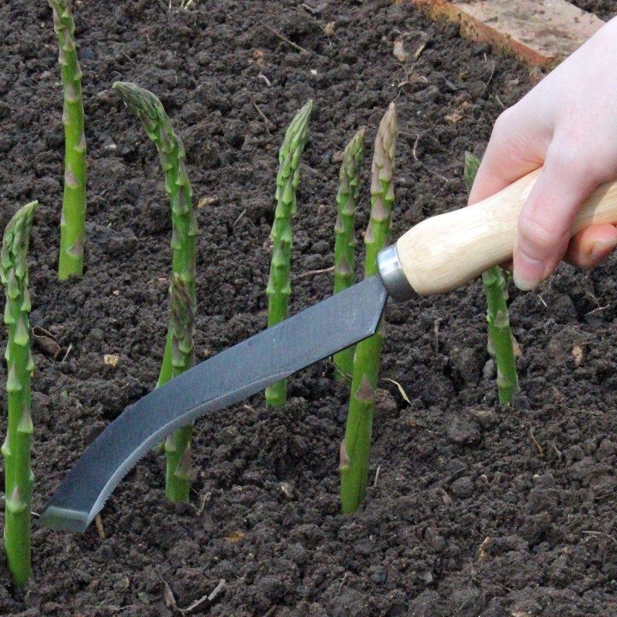 Tools Burgon & Ball Knives | Ultimate Asparagus Knife