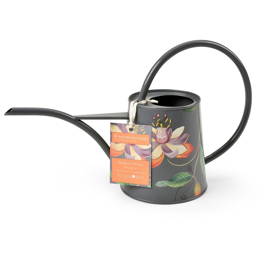 Accessories Burgon & Ball Grow Your Own Herbs | Passiflora Indoor Watering Can