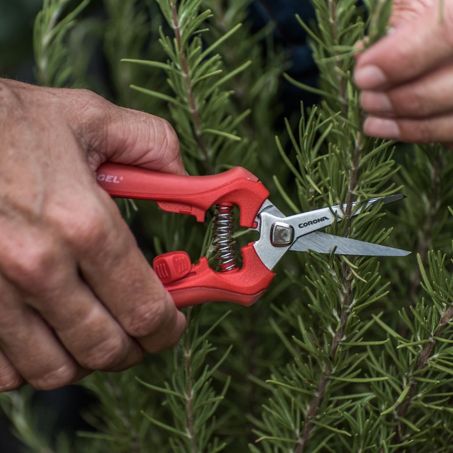 Tools Burgon & Ball Hand Shears & Snips | Corona Deadheading Snip