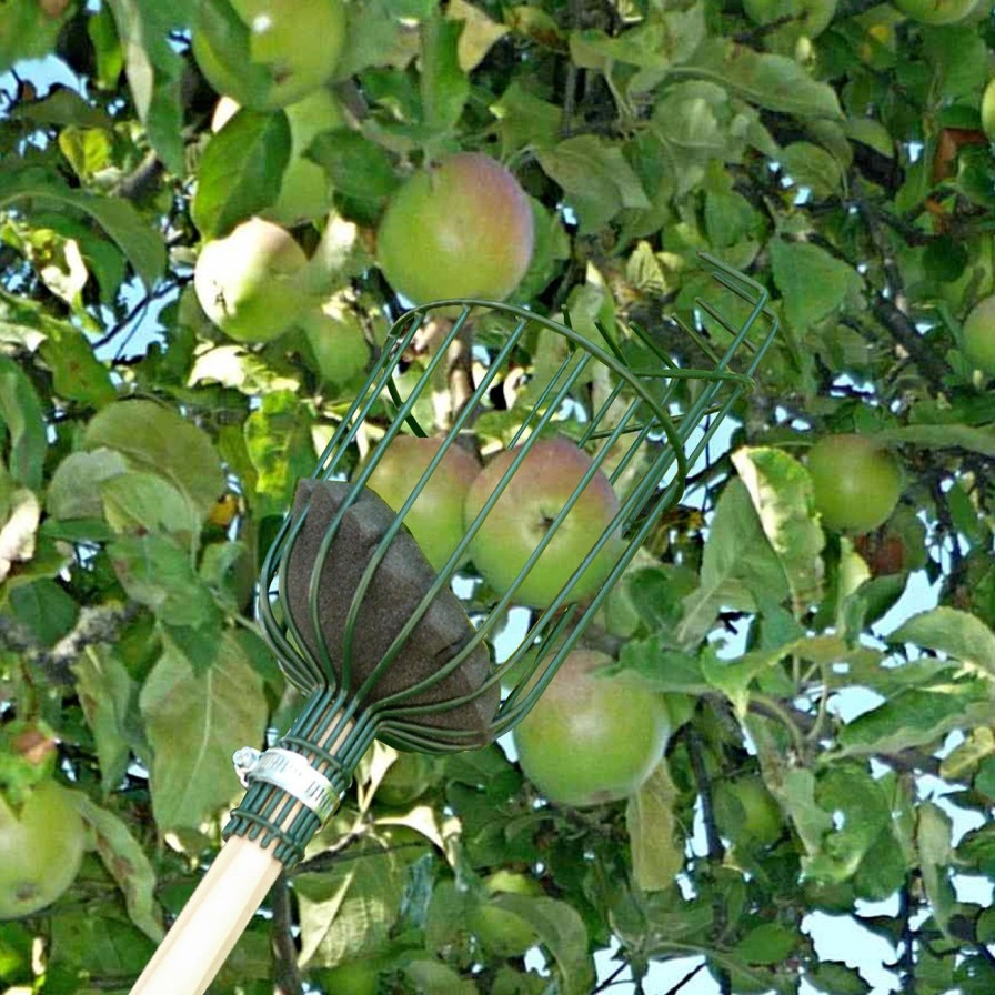 Tools Burgon & Ball Apple Picker | Apple Picker