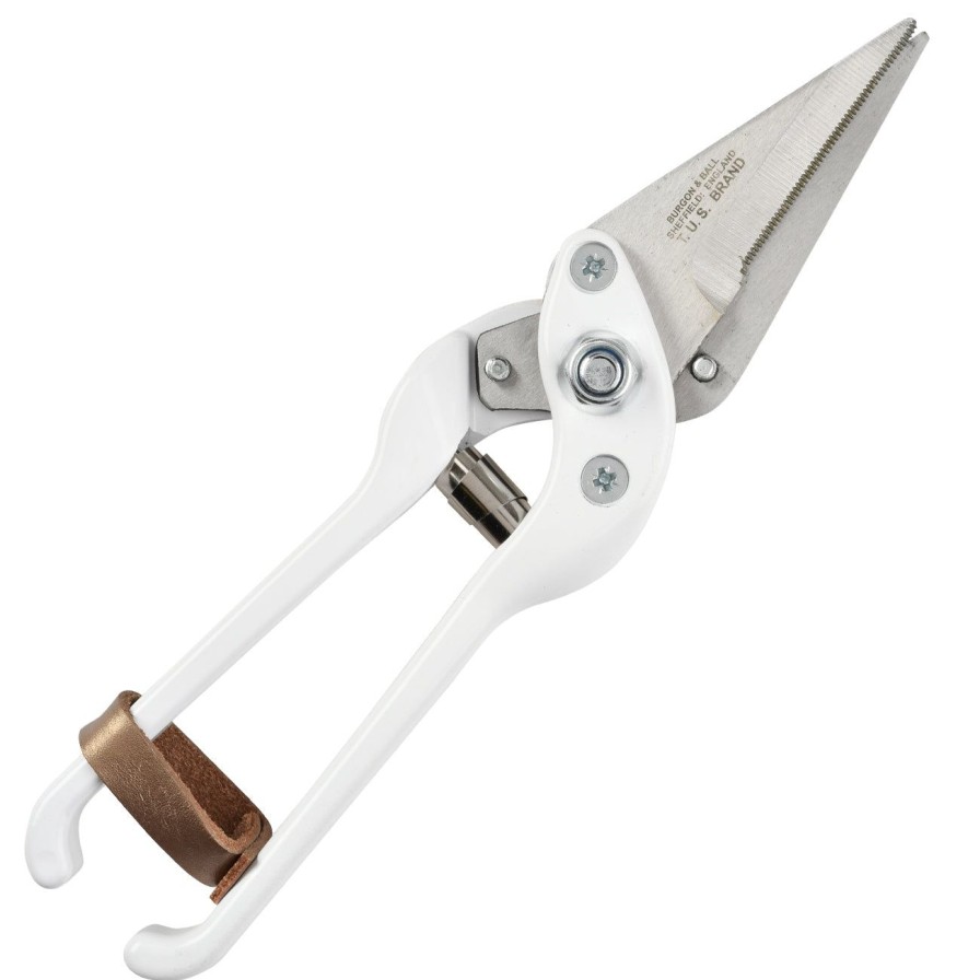 Agriculture Burgon & Ball Footrot & Dressing Shears | Professional Serrated Footrot Shears